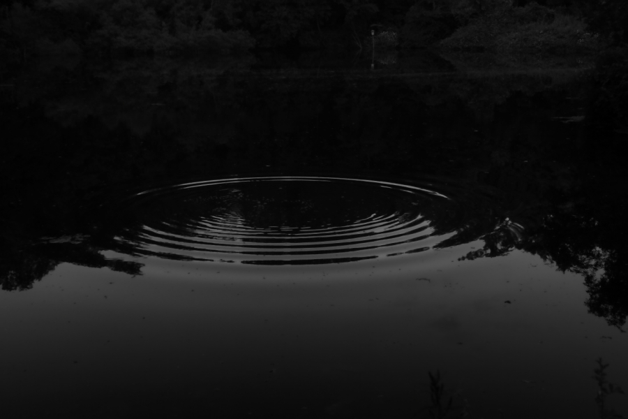 2012 05 31 4828ebw